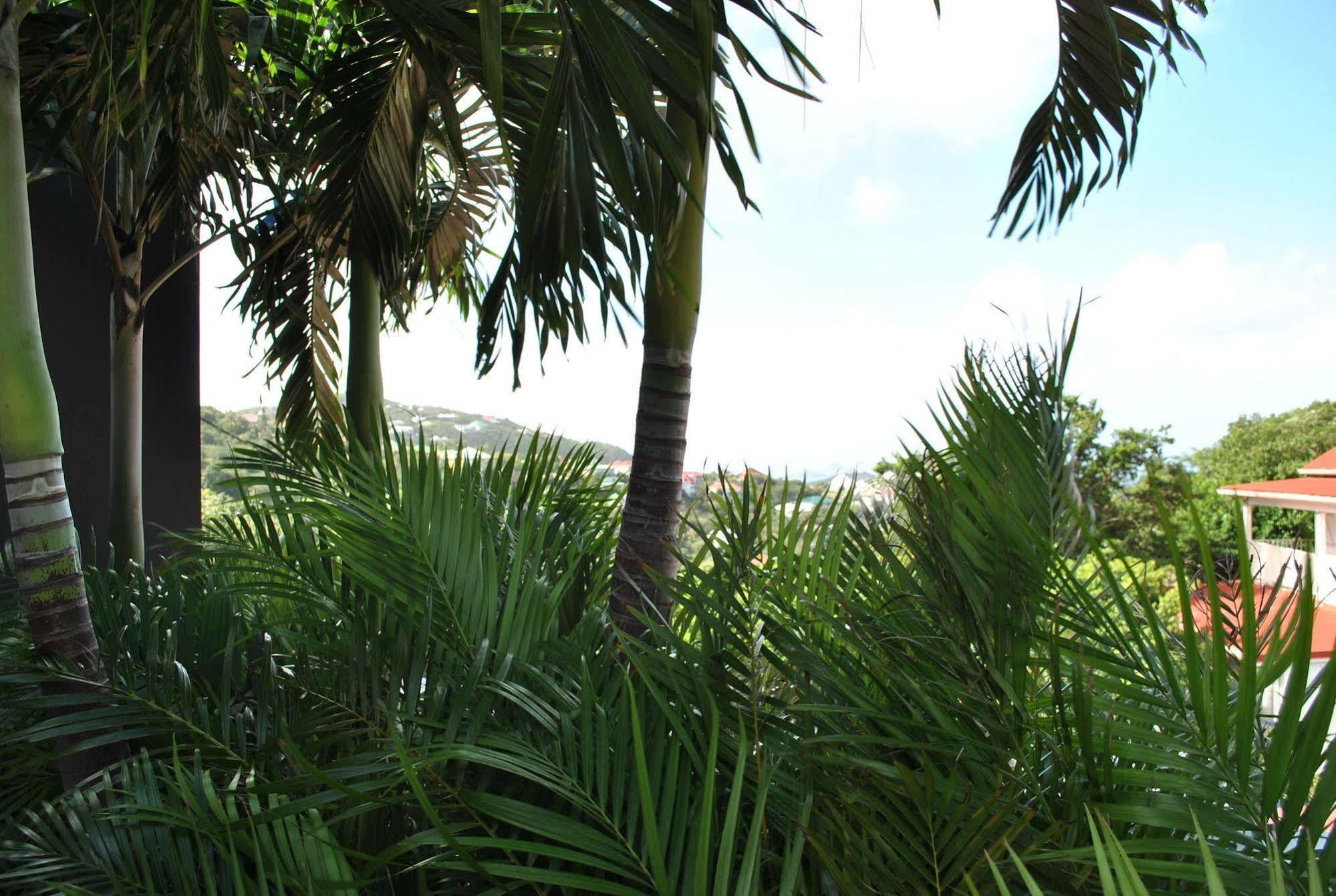 Reve De St. Barth Aparthotel Gustavia Esterno foto